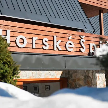 Garni Horske Spicky Отель Рокицани