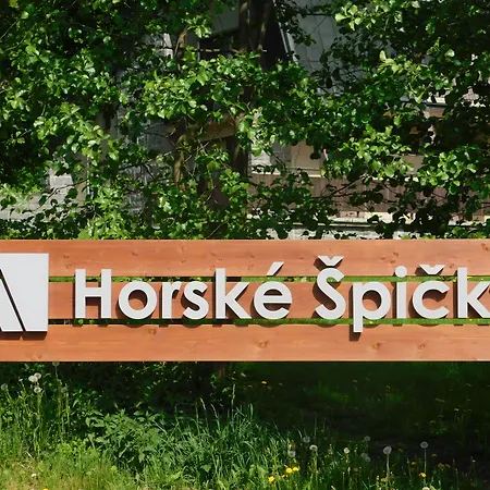 Отель Garni Horske Spicky 3*